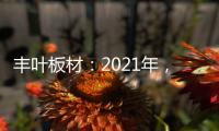 丰叶板材�：2021年
，我们想要这样!