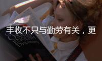 丰收不只与勤劳有关

，更与市场和风险相连丨记者手记