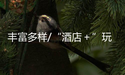 多样我们家住在龙岗