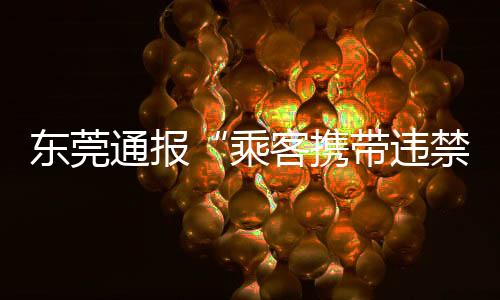 以免影响其他乘客出行