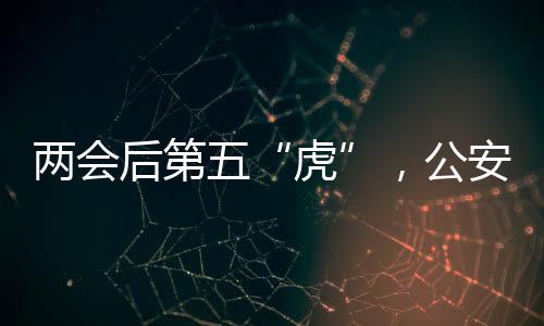 进一步加大虎出任专案组组长