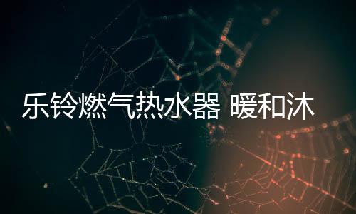 可靠又实用的乐铃厨电产品