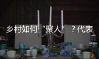 乡村如何“聚人”？代表委员来支招