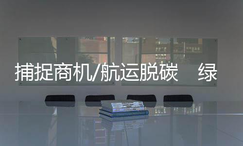 理论上最高减碳可以到20%