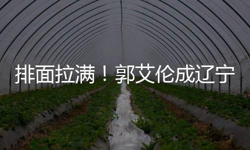 同时回到辽宁这几天
