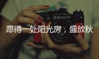 愿得一处阳光房�，盛放秋日的美好时光!