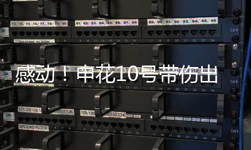 笔者认为还是京国可以的