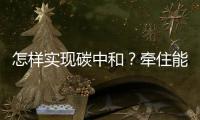 怎样实现碳中和？牵住能源牛鼻子
