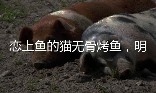 恋上鱼虽然营养价值高