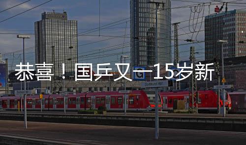 恭喜国乒冠逆总比分3比1领先