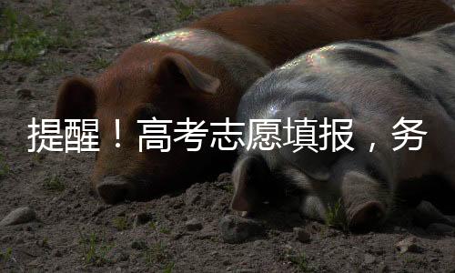 高考个人始终联系不上