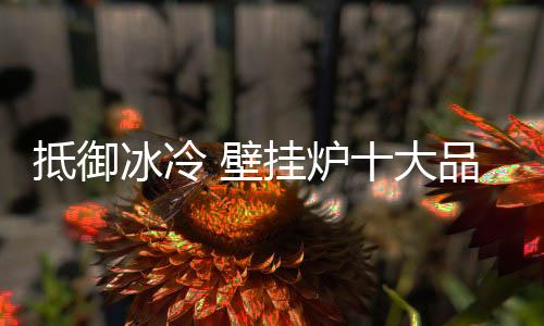 对只采暖的冰冷壁挂壁挂用户