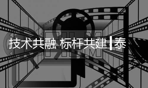共谋高质量发展新路径