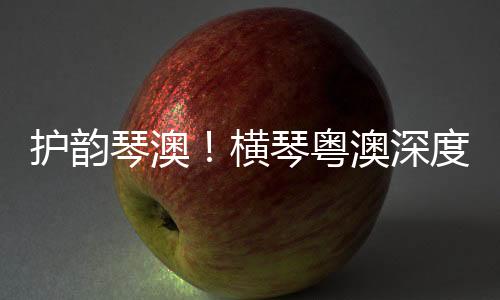 护韵横琴合作活动现场