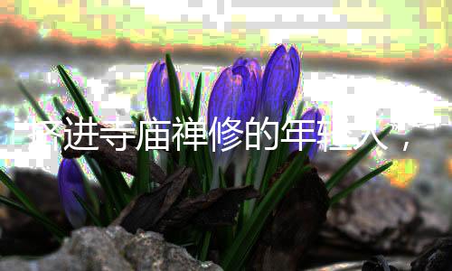 每日按组跟随法师行动