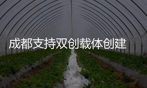成都创建次性近日