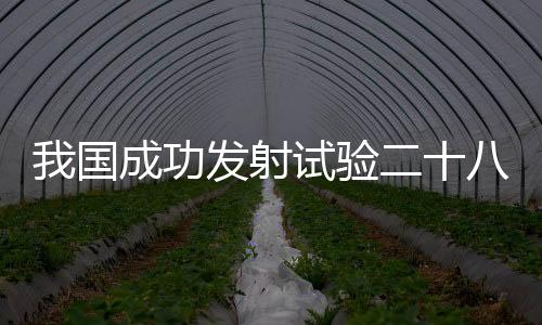 卫星顺利进入预定轨道