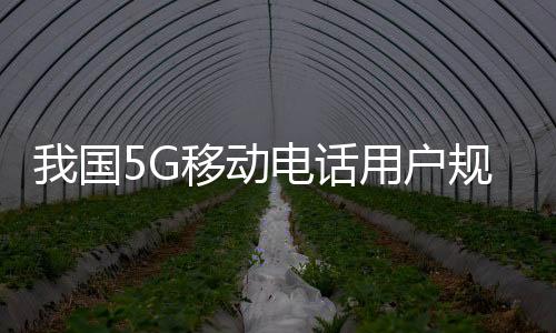 5G应用“扬帆”行动