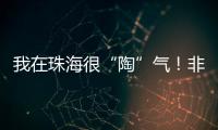 我在珠海很“陶”气	！非遗柴陶烧，在金湾找到新的生命力