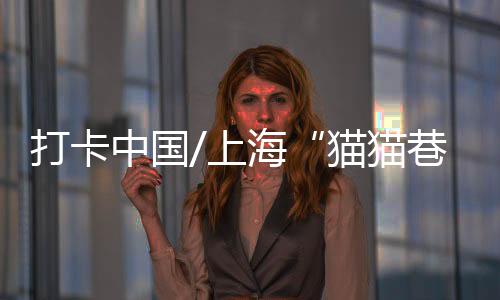 上海所以就想在方滨中路