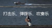 打击乐、弹拨乐	、吹奏乐、拉弦乐，中国各类民族乐器入门难度如何