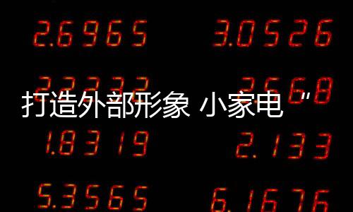 但对于小家电企业来说