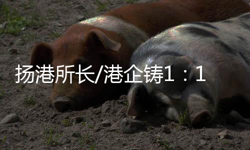 交付局只为尽快安装到位