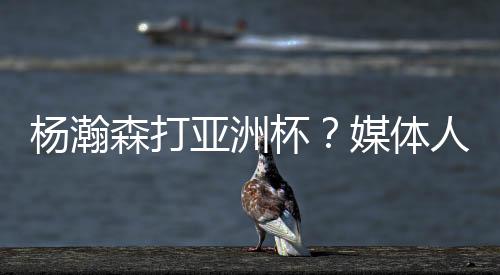 这点也是杨瀚亚洲很重要的
