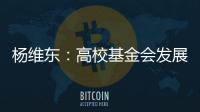 杨维东：高校基金会发展需要超越简单的筹资概念