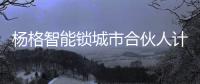 杨格智能锁城市合伙人计划
，应5G而生!