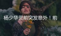 杨少华灵前突发意外	！前央视导演情绪失控，当众找杨议了结旧怨