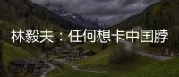 林毅夫：任何想卡中国脖子的做法，只会加速中国进步