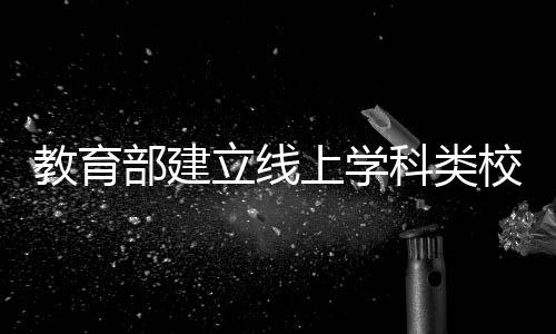 共连续开展了4次巡查