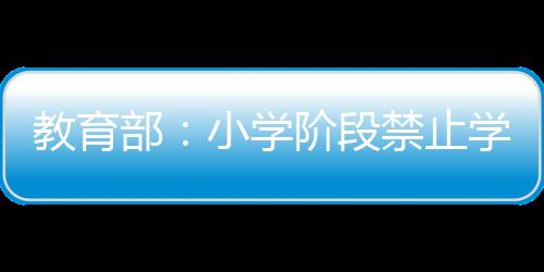 培育四位一体的人工智能素养