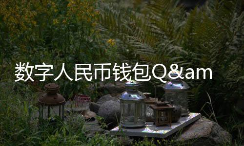 日累计支付限额10万元