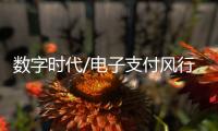 数字时代/电子支付风行内地：用过谁愿放手