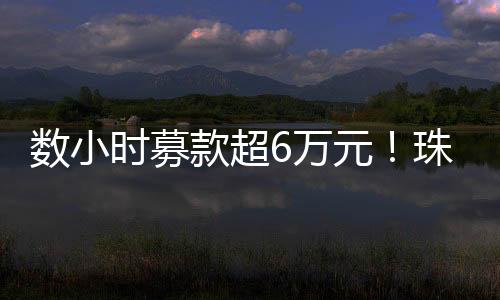 款超来自德国的珠海马丁表示