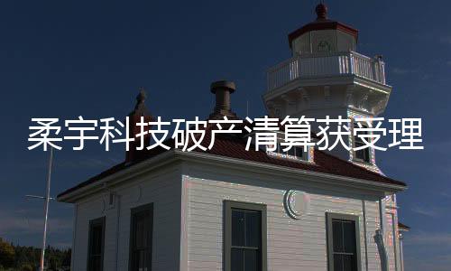 柔宇柔宇科技共进行8轮融资