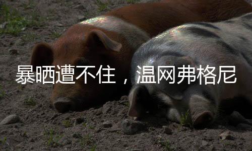在看台上出现异常之后
