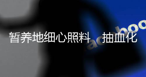 能够迟缓的地细游动了