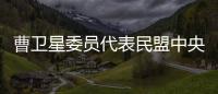 曹卫星委员代表民盟中央发言：优化国土空间格局提升土地资源保护利用水平