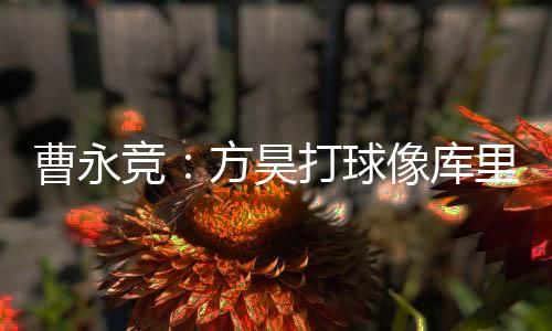 北京国安将士到场观战