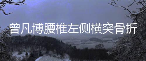曾凡椎左折缺第三节末段