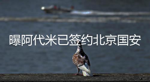 各类赛事他已经出战23场