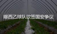 快排公司十年历程，霸屏兔 seo 的崛起与坚守