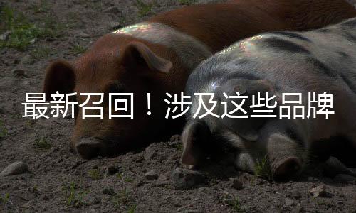 本次召回范围内的部分车辆