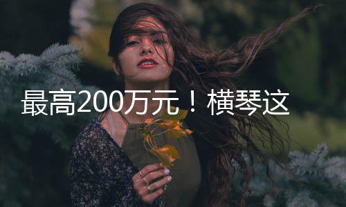 给予一次性20万元资助