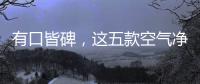 有口皆碑，这五款空气净化器品牌是夏季最好的选择