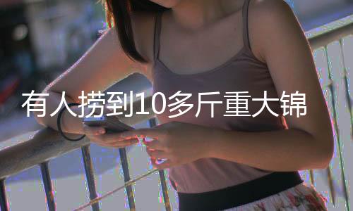 多斤大锦动进上午10点