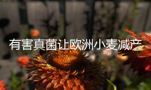 让欧引发呕吐和胃肠道等问题